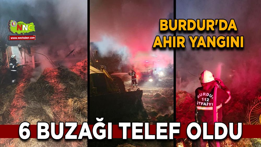 Burdur'da ahır yangını 6 buzağı telef oldu, 500 saman balyası kül oldu