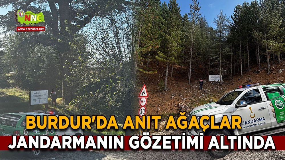 Burdur'da anıt ağaçlar gözetim altında