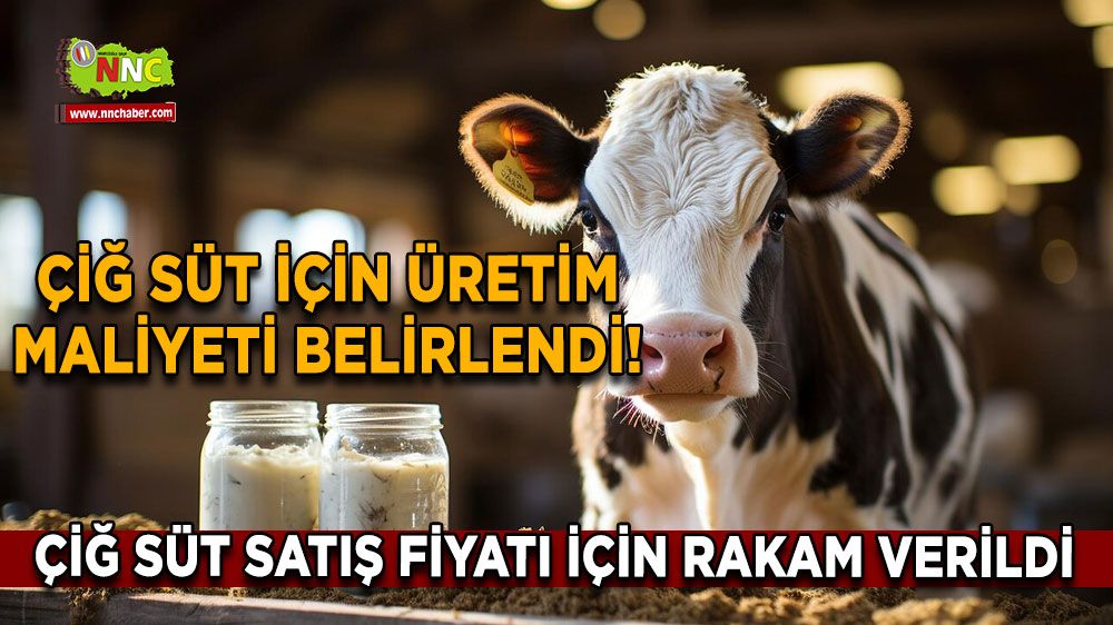 Çiğ süt için üretim maliyeti belirlendi! Çiğ süt satış fiyatı için rakam verildi