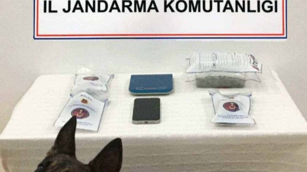 Denizli'de jandarma ekiplerinden uyuşturucu ticaretine yönelik operasyon