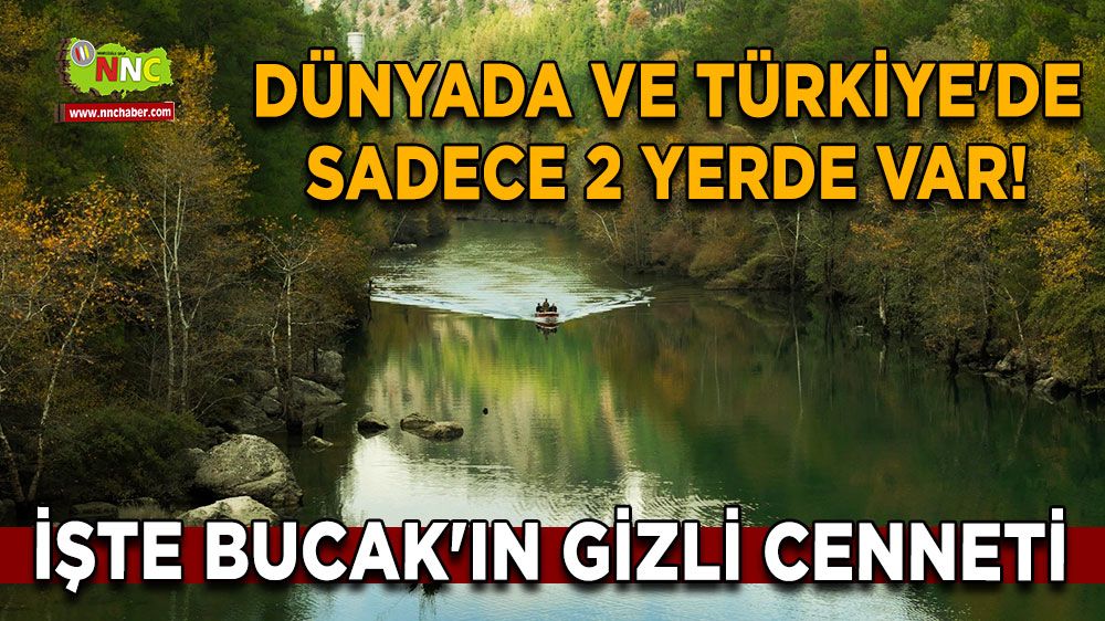 Dünyada ve Türkiye'de sadece 2 yerde var! İşte Bucak'ın gizli cenneti