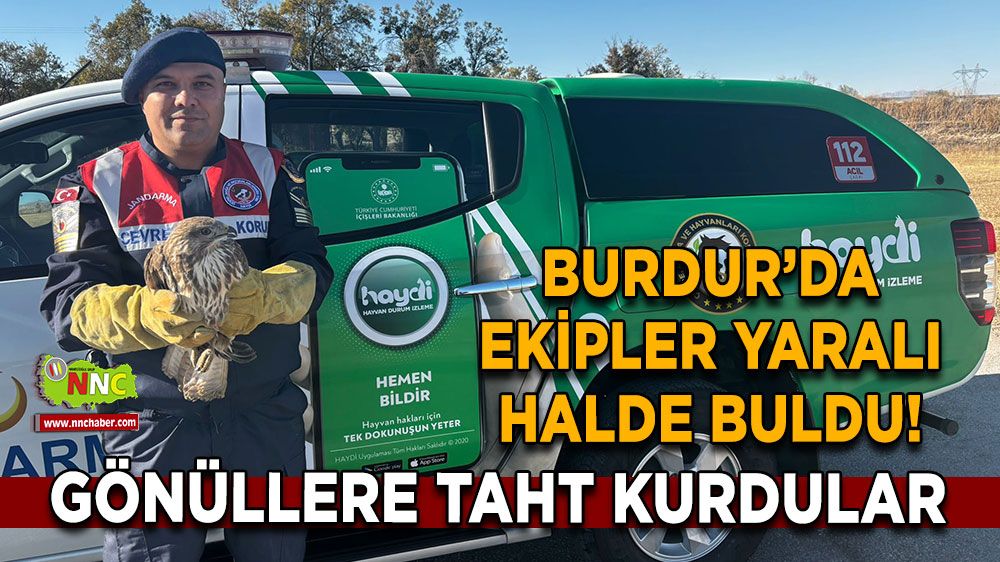 Ekipler yaralı halde buldu! Gönüllere taht kurdular