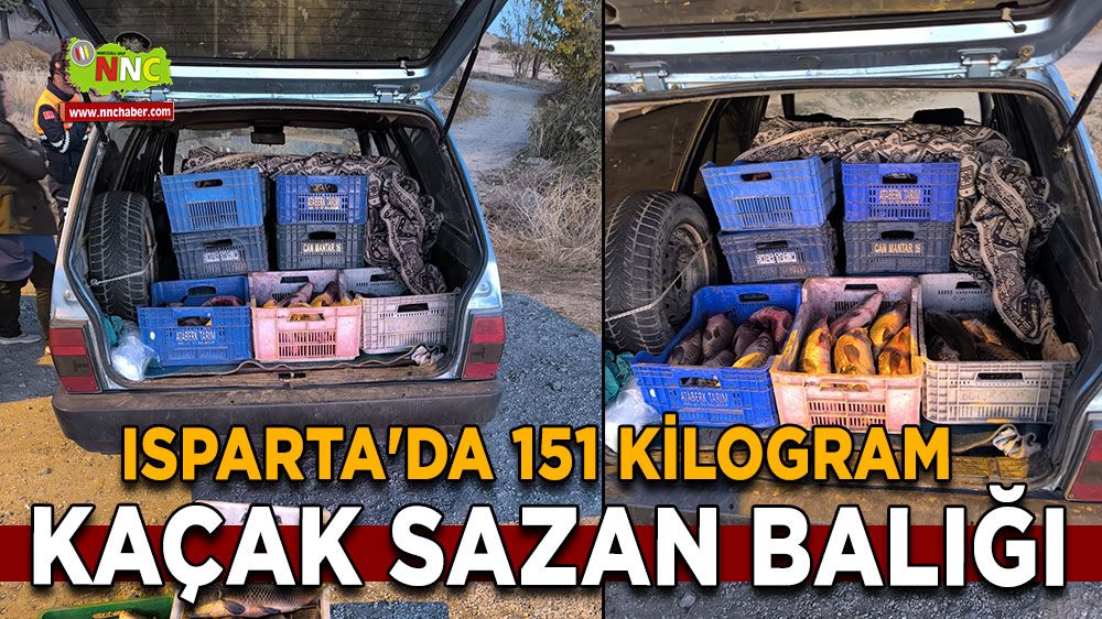 Isparta'da 151 Kilogram Kaçak Sazan Balığı