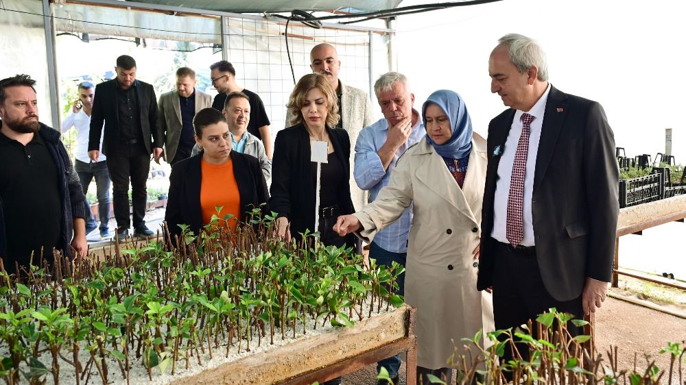 Kepez Belediyesi kendi serasında yetiştirdiği bitkilerle ilçeyi yeşillendiriyor