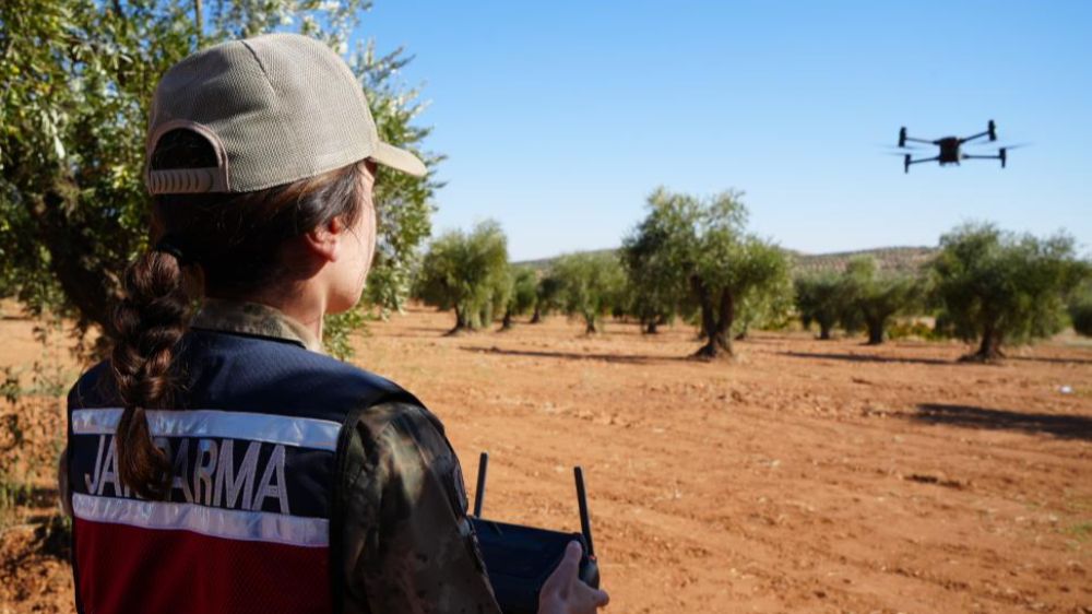 Kilis'te Yeşil Altın hasadı öncesi  Jandarma Koruması 