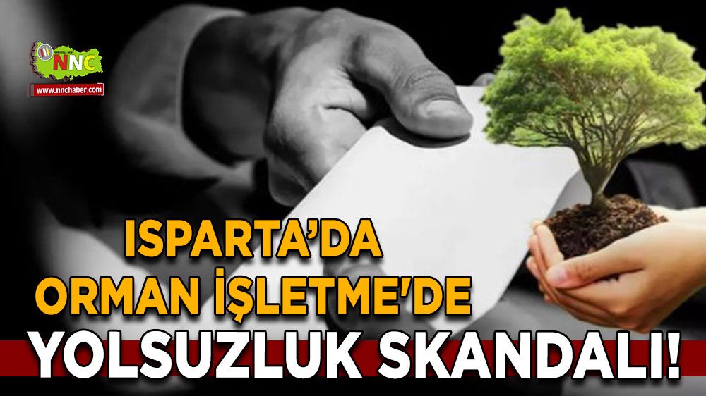 Komşuda orman işletme müdürlüğü’nde 2 milyonluk yolsuzluk skandalı