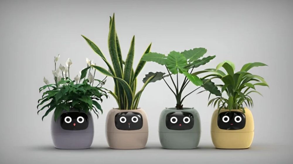 Konuşan saksı Plantagotchi, bitki sağlığı için işbaşında!