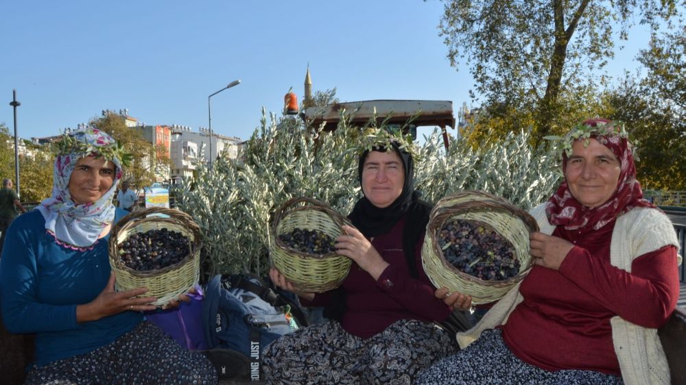 Manavgat’ta ilk zeytin ve zeytinyağı festivali Barış, sevgi ve zeytin temasıyla başladı