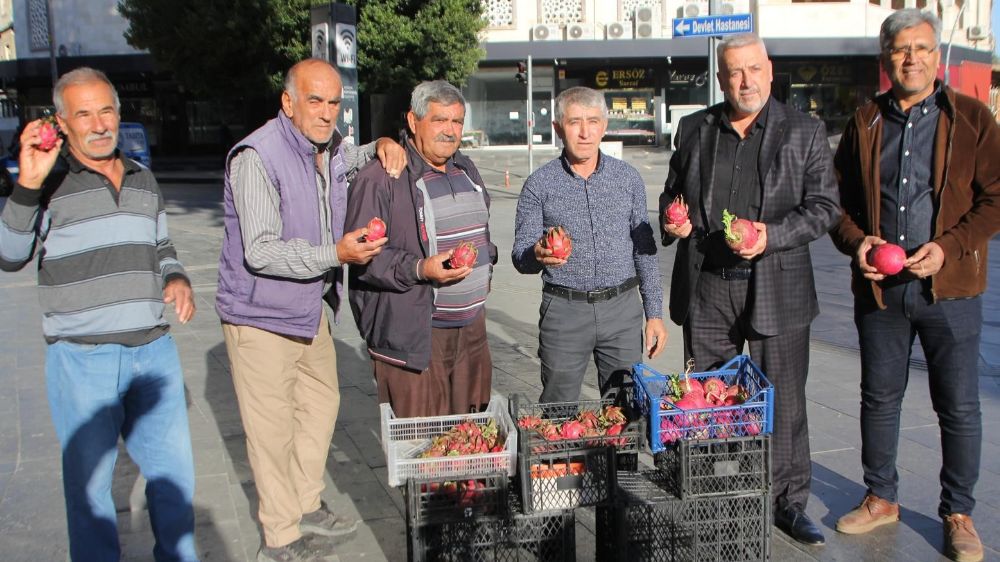 Serik'te Trump'ın zaferi için ücretsiz ejder meyvesi ve turp dağıtımı