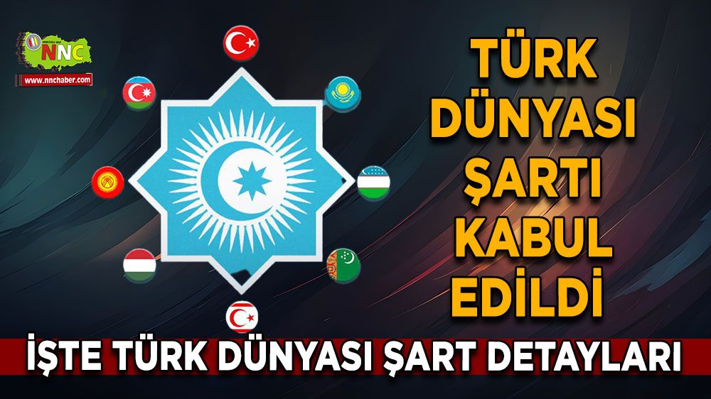 Türk Dünyası Şartı kabul edildi İşte Türk Dünyası şart detayları