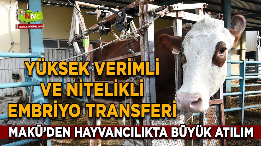 Türkiye’nin İlk Yerli Embriyo Transfer Merkezi MAKÜ’nün Hayvancılıkta Öncü Rolü