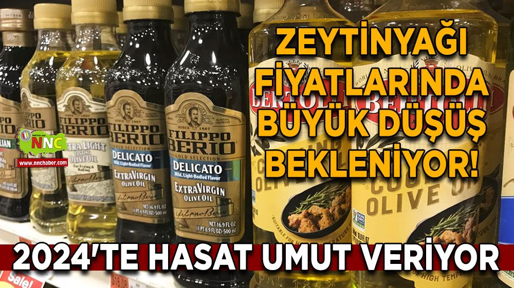 Zeytinyağı Fiyatlarında Büyük Düşüş Bekleniyor! 2024'te Hasat Umut Veriyor