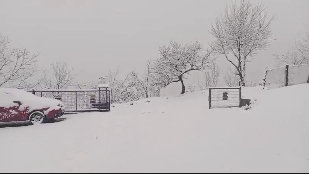 Zonguldak Alaplı Gümeli'de Kar Yağışı: Kar Kalınlığı 10 cm'ye Ulaştı