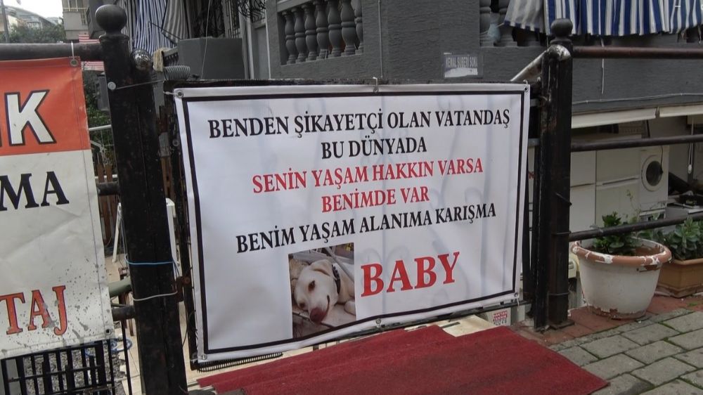 Alanya'da labradoodle ile ilgili havlama tartışması Komşular arasında pankartlı tepki