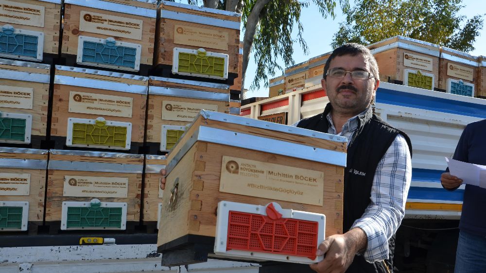 Antalya Büyükşehir Belediyesi’nden Alanyalı arı üreticilerine kovan hibesi desteği