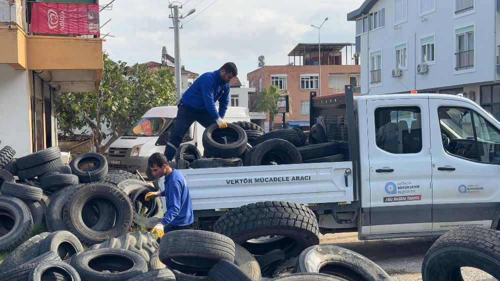 Antalya Büyükşehir’den çifte mücadele Sinek üremesine ve çevre kirliliğine geçit yok