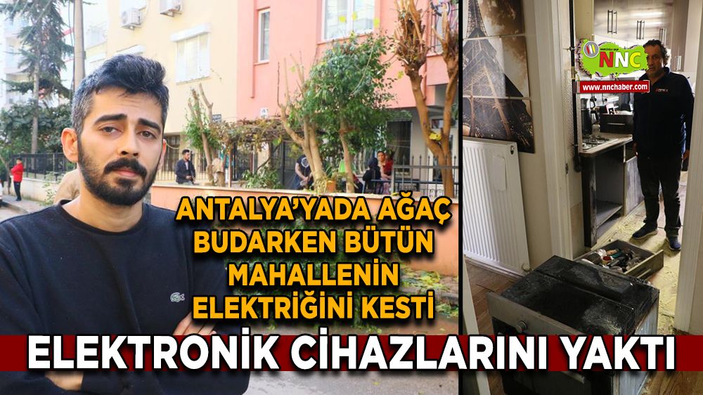 Antalya'da ağacı budarken mahallenin elektriklerini kesti  Yangın ve maddi hasar