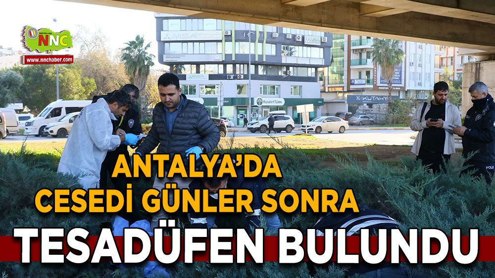 Antalya’da çalıların arasında battaniyeye sarılı halde bulundu