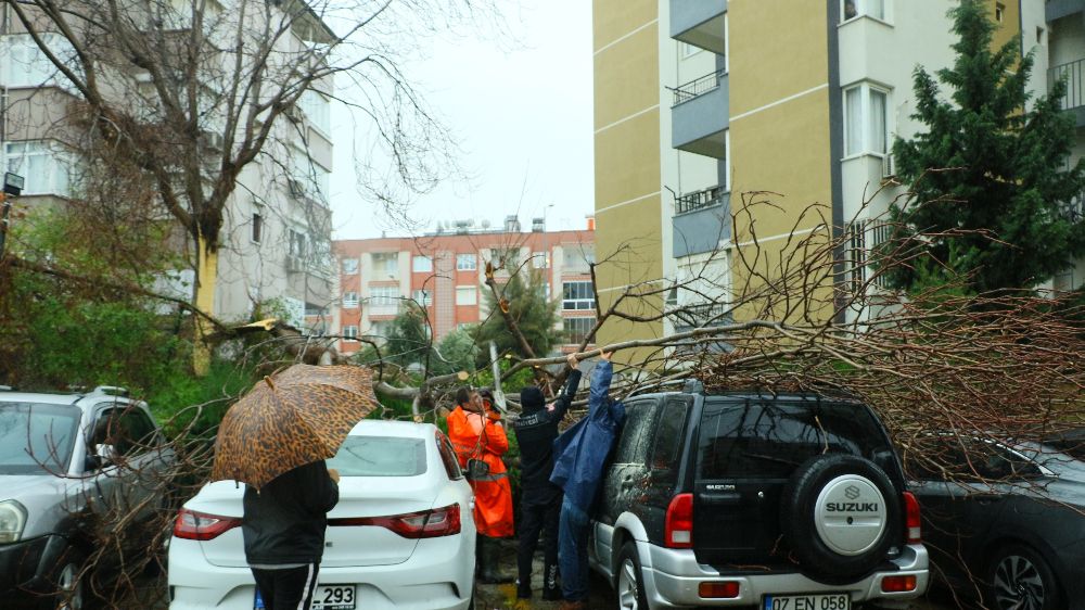 Antalya'da fırtına ağaçları devirip araçları zarar verdi