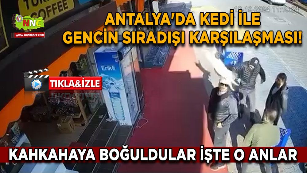 Antalya'da kedi ile gencin sıradışı karşılaşması! Kahkahaya boğuldular İşte o anlar