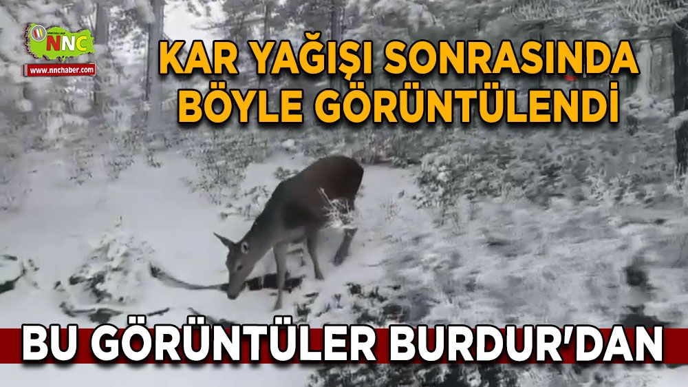 Bu görüntüler Burdur'dan Kar yağışı sonrasında böyle görüntülendi