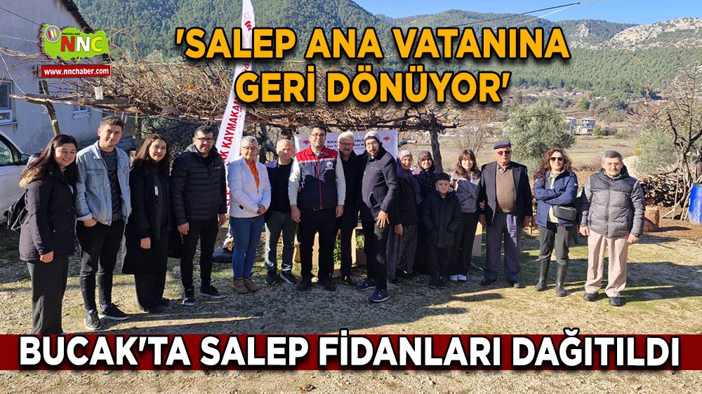 Bucak'ta salep fidanları dağıtıldı 'Salep Ana Vatanına Geri Dönüyor'