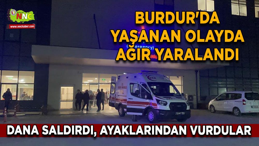 Burdur'da yaşanan olayda ağır yaralandı Dana saldırdı, ayaklarından vurdular