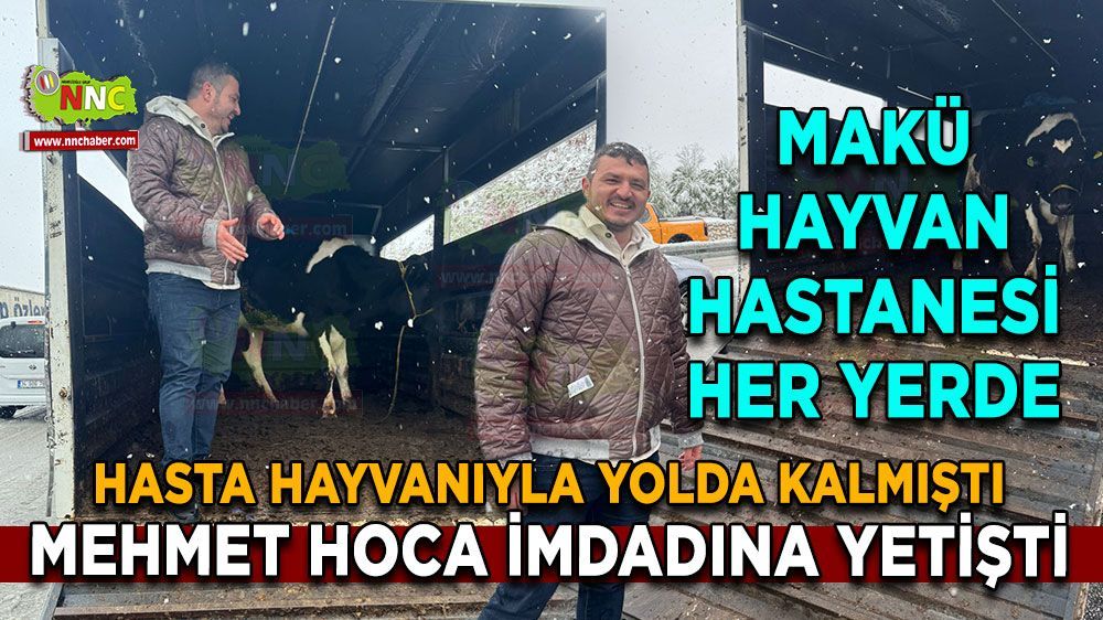 Burdur'da yolda kalan hayvanların imdadına Mehmet hoca yetişti