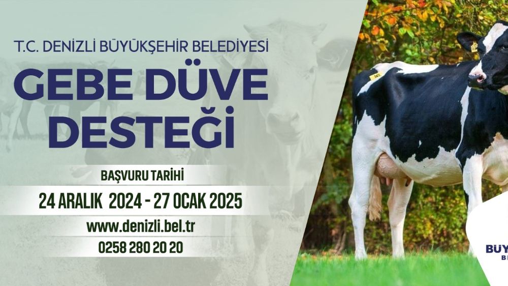 Denizli Büyükşehir Belediyesi, kırsala dönüş yapacak ailelere gebe düve desteği sağlayacak