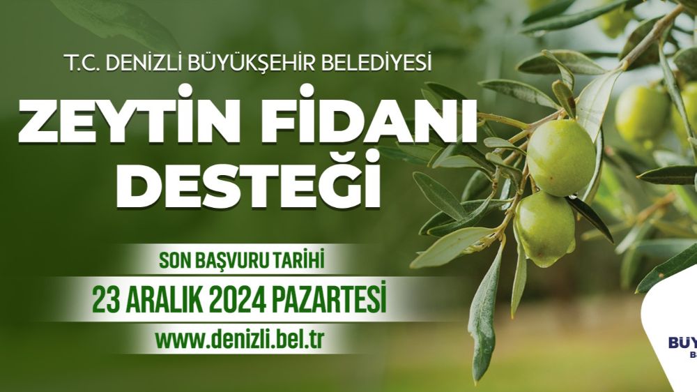 Denizli Büyükşehir Belediyesi zeytin fidanı desteği başvuru süresini 23 Aralık’a kadar uzattı