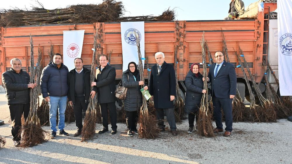 Denizli, 'Cevizin Başkenti' olmak için 50 bin fidan dağıtımı yapacak