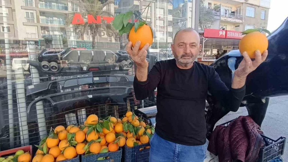 Her Salı 25 TL'den satışa sunuyor 3 tanesi 2 kilo geliyor