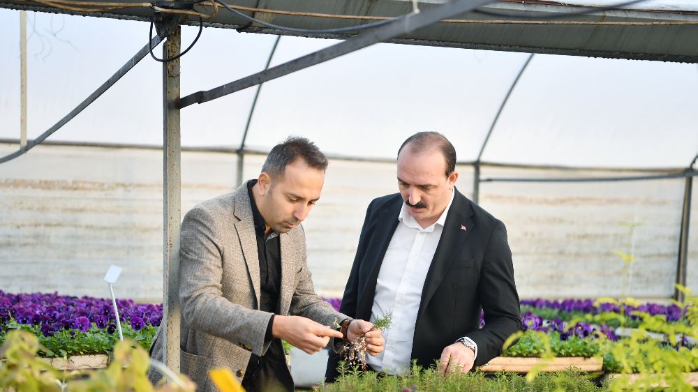 Konyaaltı Belediyesi fidanlığında üretim rekoru