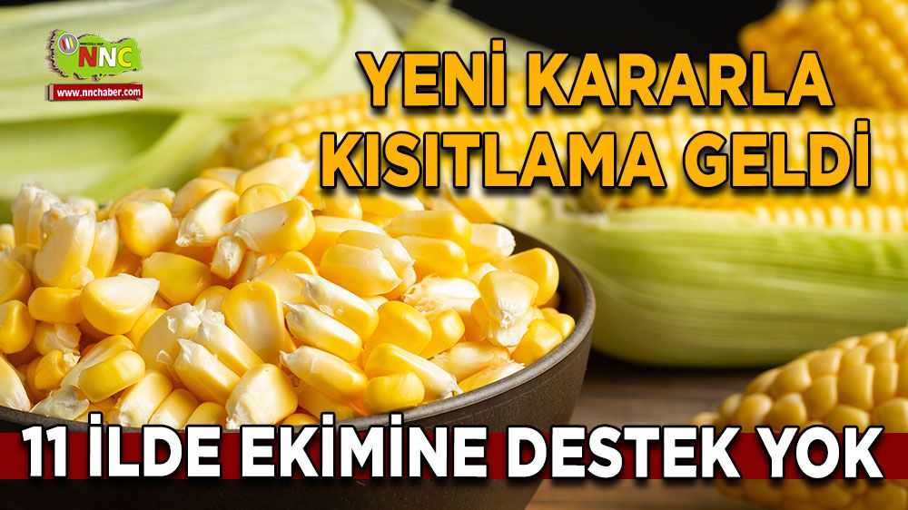 Yeni kararla kısıtlama geldi 11 ilde ekimine destek yok