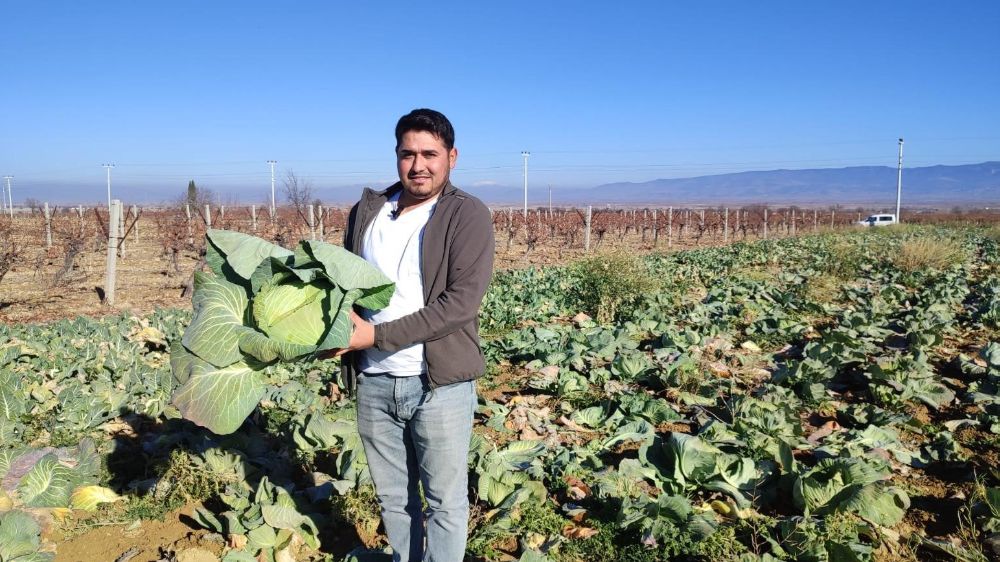 Ziraat Mühendisi Selçuk, Çal'da ilk kez kış sebzesi üretiyor