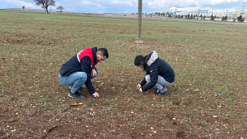 Afyon'da hububat ekili alanlarda bitki kontrolleri sürüyor