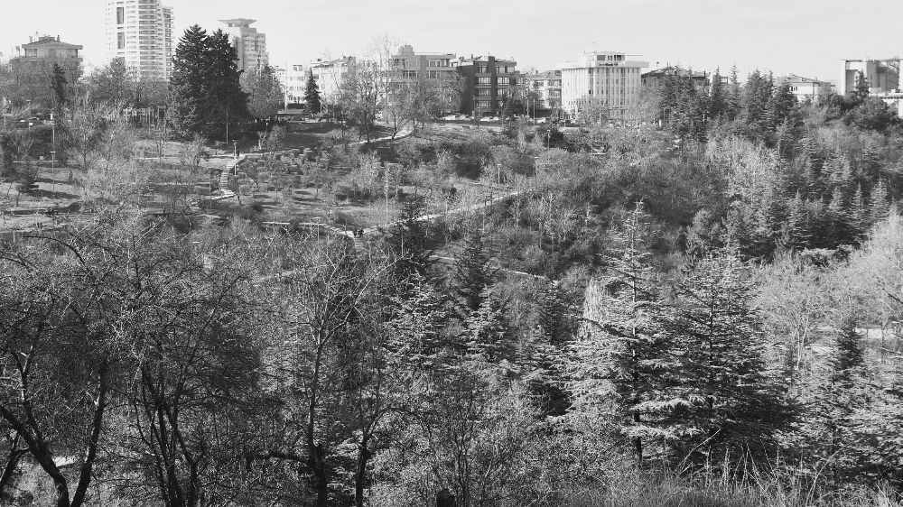  Anıt, Botanik Park’a konulacak