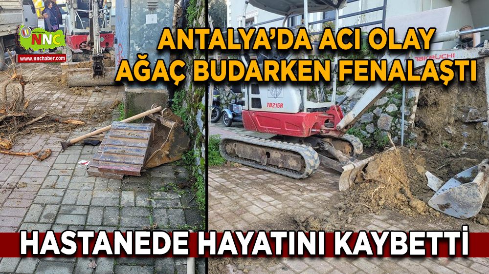 Antalya'da acı olay Yaşlı adam budama yaparken hayatını kaybetti