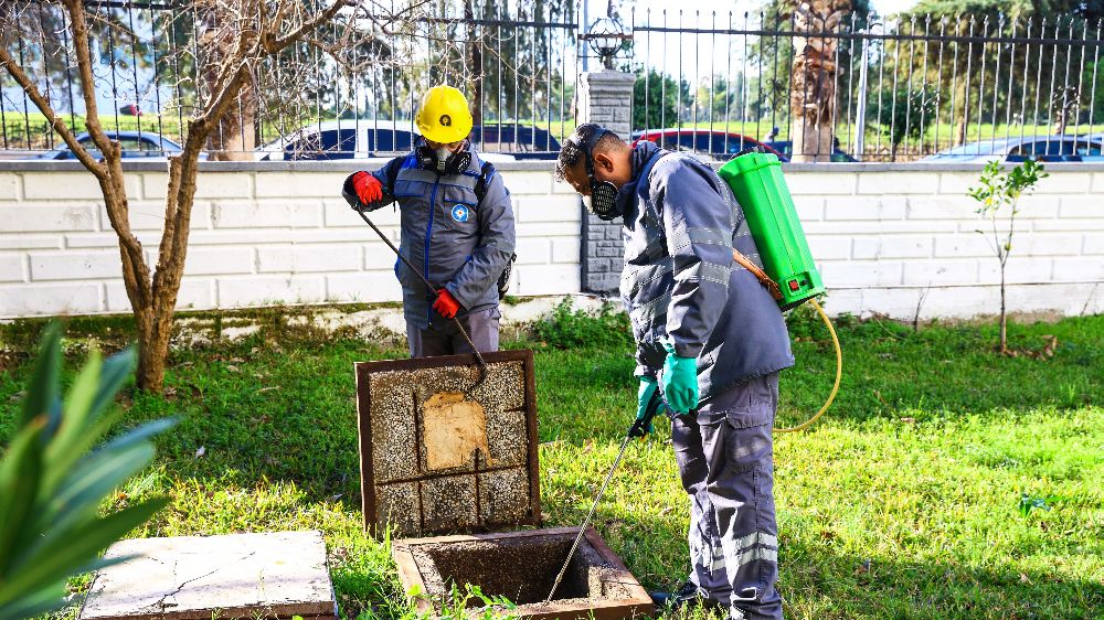 Antalya'da kış aylarında larva ve uçkunlara yönelik ilaçlama seferberliği