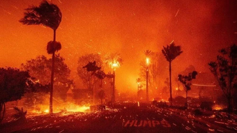 Bağımsız Senatör  Bernie Sanders Los Angeles de olup biteni anlamak isterseniz, izahı şudur;