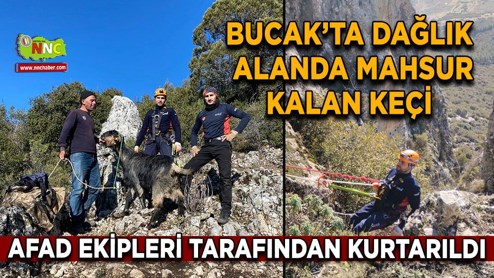 Bucak'ta dağlık alandan mahsur kalan keçinin yardımına AFAD ekipleri yetişti