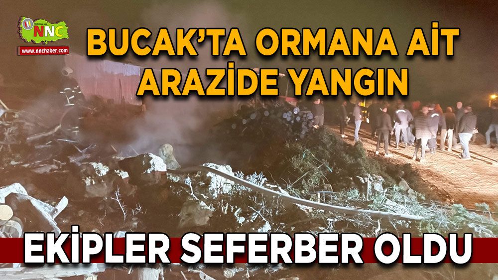 Burdur Bucak’ta ormana ait arazide yangın Ekipler seferber oldu