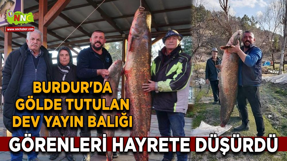 Burdur’da dev yayın balığı Görenleri hayrete düşürdü