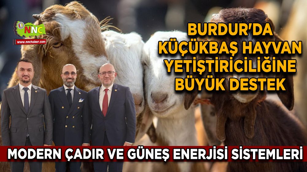 Burdur'da küçükbaş hayvan yetiştiriciliğine büyük destek Modern çadır ve güneş enerjisi sistemleri