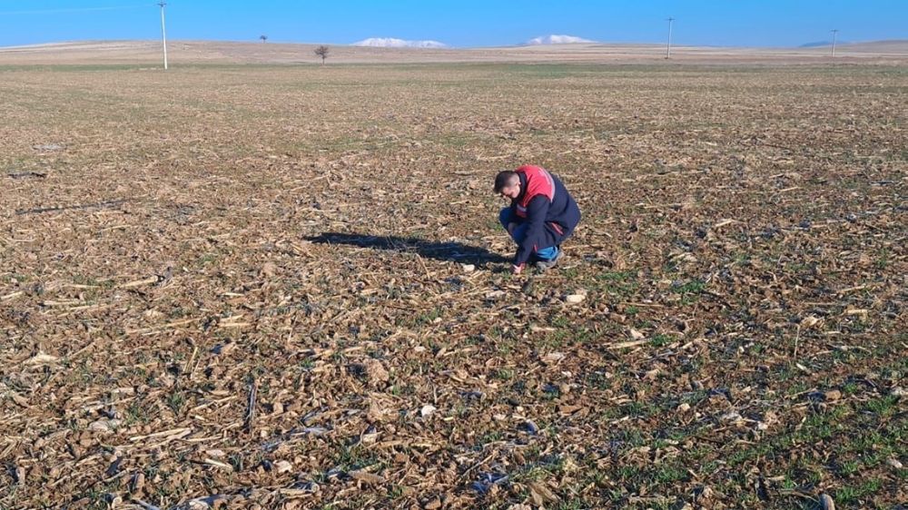 Dazkırı’da verimliliği artırmak için tarımsal arazi etüt çalışmaları başlatıldı