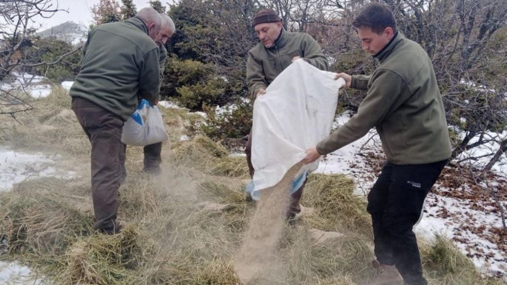 Elazığ'da yüksek rakımlı yerlere yaban hayvanları için yem bırakıldı