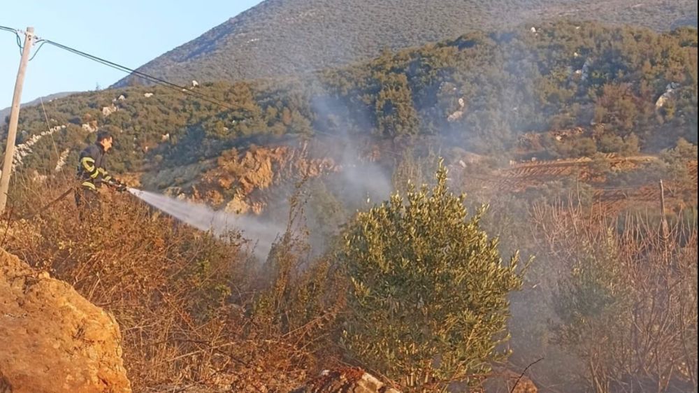 Hatay'da zeytinlik alanda yangın çıktı 