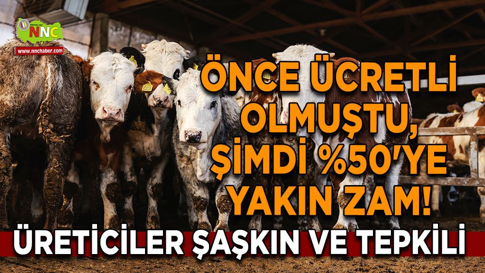 Önce ücretli olmuştu, şimdi %50'ye yakın zam! Üreticiler şaşkın ve tepkili