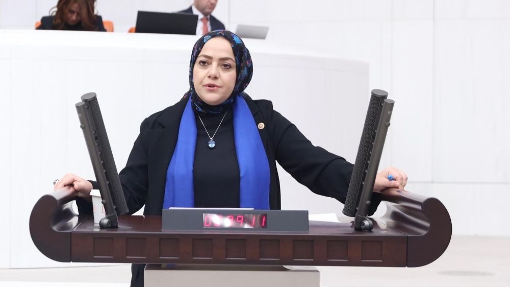 Sema Silkin Ün, 2025'in aile yılı olmasını eleştirdi: "Gerçek çözümler gerek"