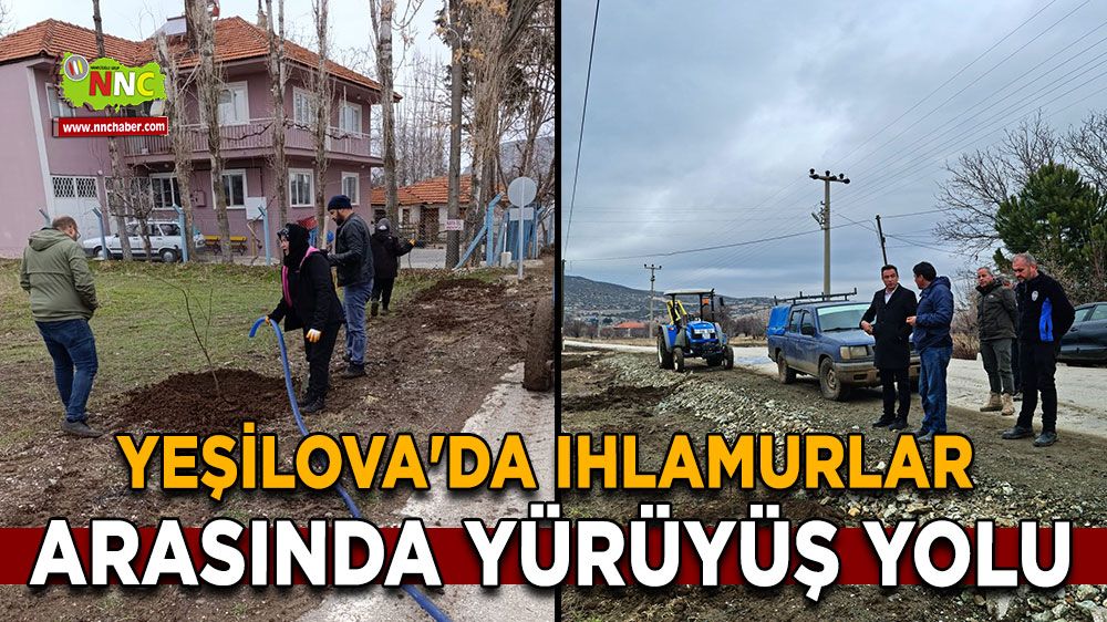 Yeşilova'da ıhlamurlar arasında yürüyüş yolu